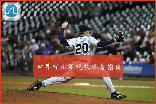 世界杯比赛视频观看指南
