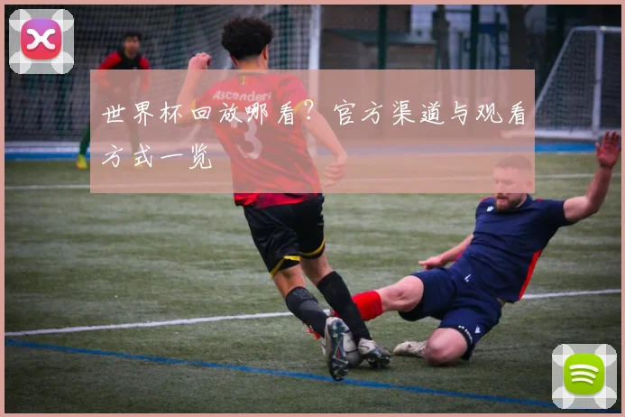 世界杯回放哪看？官方渠道与观看方式一览