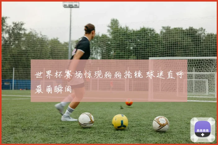 世界杯赛场惊现狗狗抢镜 球迷直呼最萌瞬间