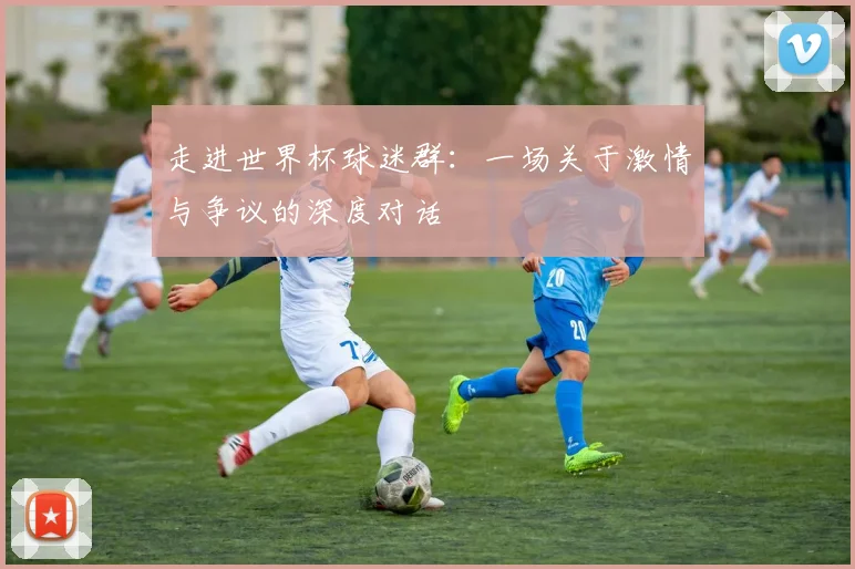 走进世界杯球迷群：一场关于激情与争议的深度对话