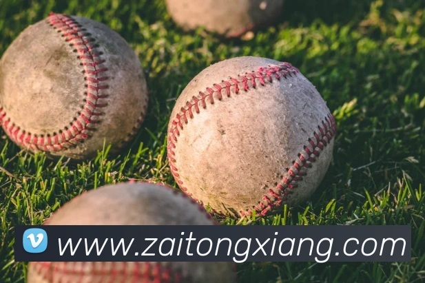 世界杯官方入口发展历程